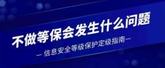 外包开发的软件或系